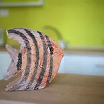 Musala Vandrarhem